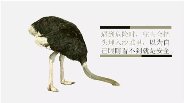 這6個詞，你誤解了任何一個，都能讓你錯過“風(fēng)口”