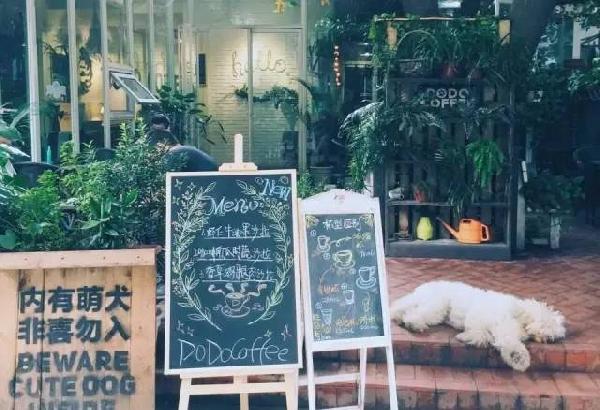 如何開家能賺錢的咖啡館？過來人是這樣算帳的...|餐飲界