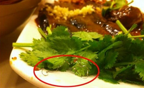 食客在餐廳吃到鋼絲，餐廳被判賠償食客206萬，并罰款686萬