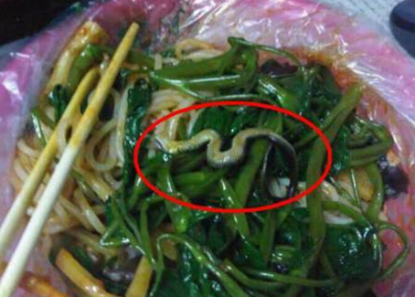 震驚！廣西大學(xué)一螺螄粉店竟然吃出一條蛇！真相是？