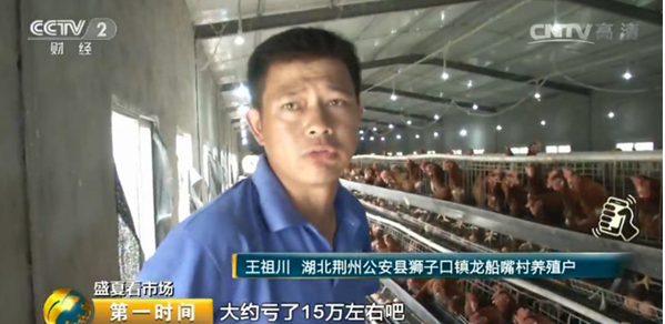 雞蛋價(jià)格跌跌不休！最低腰斬一半