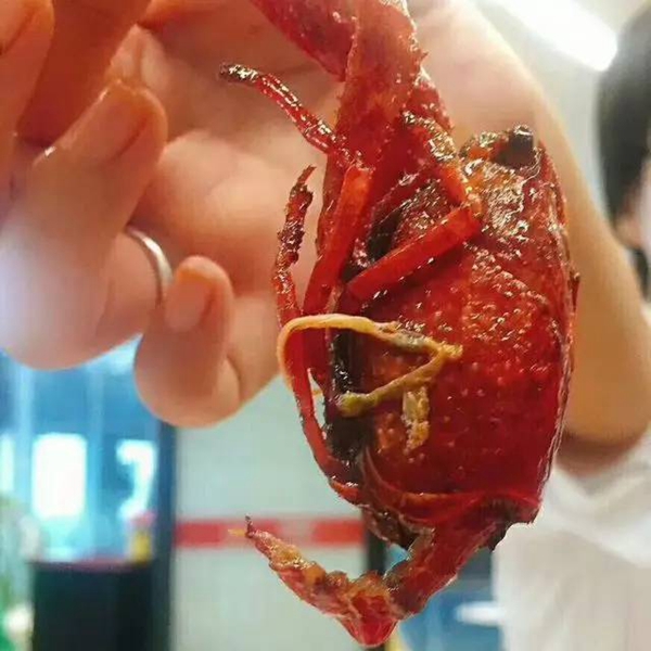 帝都當(dāng)紅小龍蝦測(cè)評(píng)：誰家的“麻小”在說謊？|餐飲界