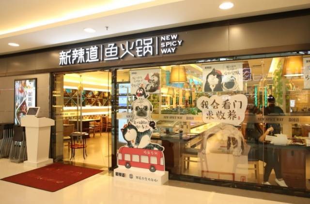 破局傳統(tǒng)營銷思維，看新辣道如何跨界&借勢瘋狂圈粉？ | 案例