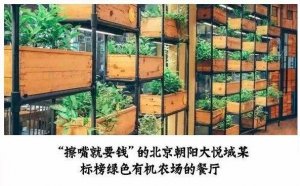 但凡說紙巾要2元的餐廳，我不會(huì)去第二次！|餐飲界