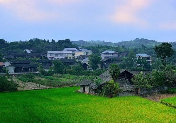 城市水太深，回鄉(xiāng)開餐廳？看完這篇你再做決定……