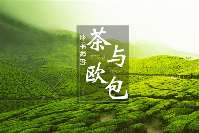 9個(gè)月開(kāi)600家店，漫雪的茶憑啥攻占全國(guó)市場(chǎng)？|餐飲界