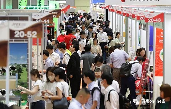 江西天凱樂首秀日本國際食品展，椰子灰冰淇淋榮獲JFEX AWARDS金獎(jiǎng)！
