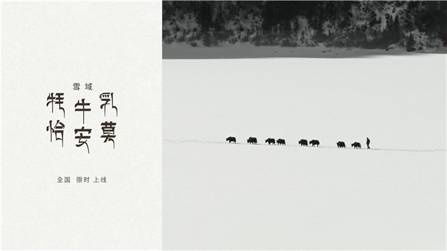 源自3500米高原牧場，喜茶西藏限定「雪域·牦牛乳恰安莫」限時全國上新